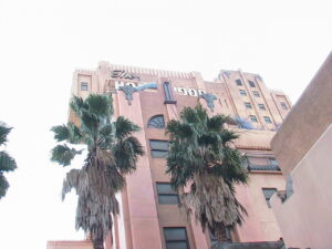 IMG_0311-300x225 IMG_0311